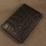 H2699